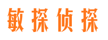 原阳市侦探公司